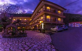 Hotel Steni